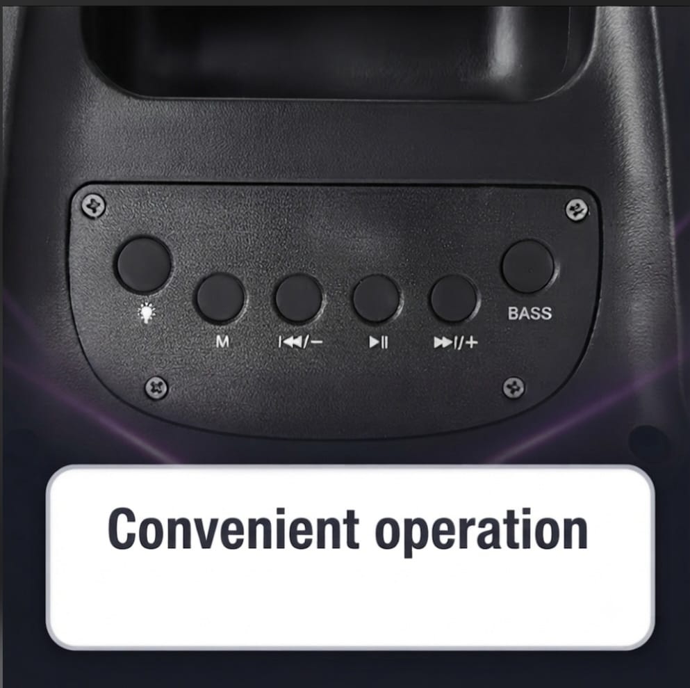 Large Wireless Bluetooth Boombox Speaker with Microphone & Deep Bass