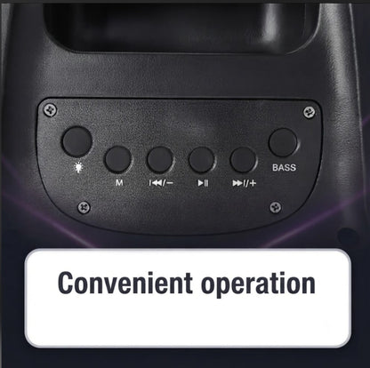 Large Wireless Bluetooth Boombox Speaker with Microphone & Deep Bass